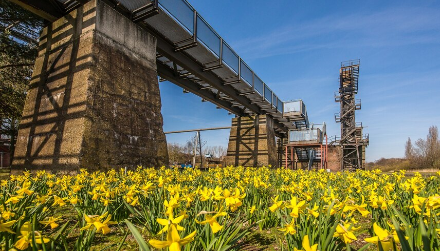 Industrial & Manufacturing Plants